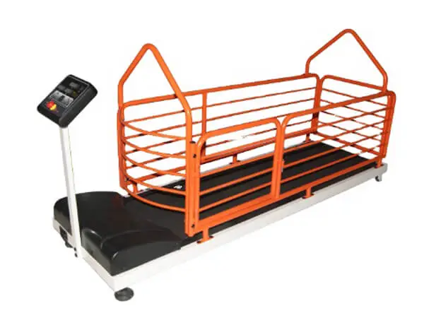 dog runner treadmill